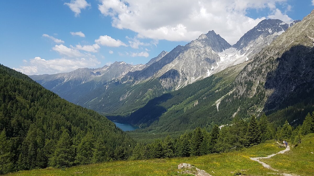 Prodotti in legno da Alpenholz Mair in Val Pusteria - Alto Adige